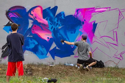 Garaże na Osiedlu Fredry (murale)